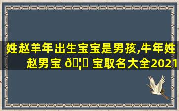姓赵羊年出生宝宝是男孩,牛年姓赵男宝 🦊 宝取名大全2021款